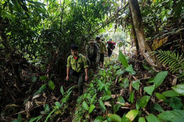 'Biệt đội bẫy ảnh' săn tìm dấu chân thú hoang