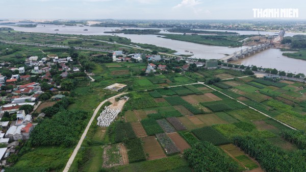 Quảng Ngãi lần đầu triển khai bảng giá đất, áp dụng từ 1.1.2026