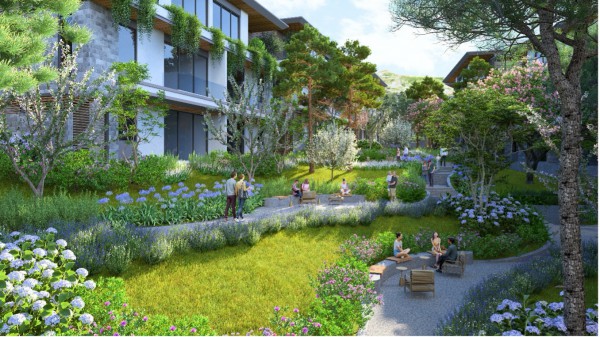 Thanh Xuan Valley: Nghệ thuật ‘may đo’ không gian sống giữa thung lũng triệu thông reo