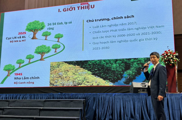 Đức, EU đồng hành cùng Việt Nam đảm bảo nguyên liệu gỗ xuất khẩu