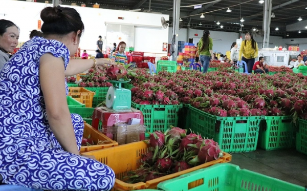 Giải ngân vốn đầu tư công ì ạch, Lâm Đồng lo hụt mục tiêu tăng trưởng