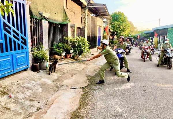 Tử vong vì chủ quan với chó nhà