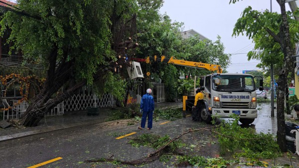 Đường phố Đồng Hới ngổn ngang, cây đổ mái tôn bay sau bão số 10