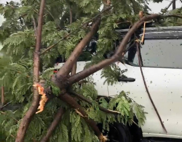 Bão số 10: Cây xanh ở Đà Nẵng ngã đè ô tô, 6 người mắc kẹt trong xe