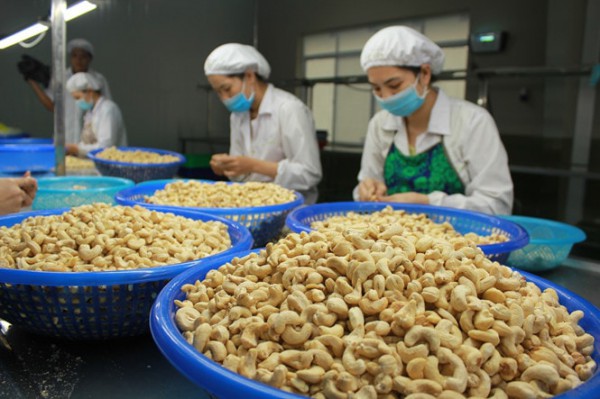 Nhiều dư địa mở rộng thị trường xuất khẩu