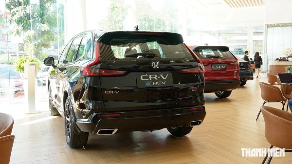 Rủi ro khi thay dầu động cơ đậm đặc cho xe hybrid Rủi ro khi thay dầu động cơ đậm đặc cho xe hybrid