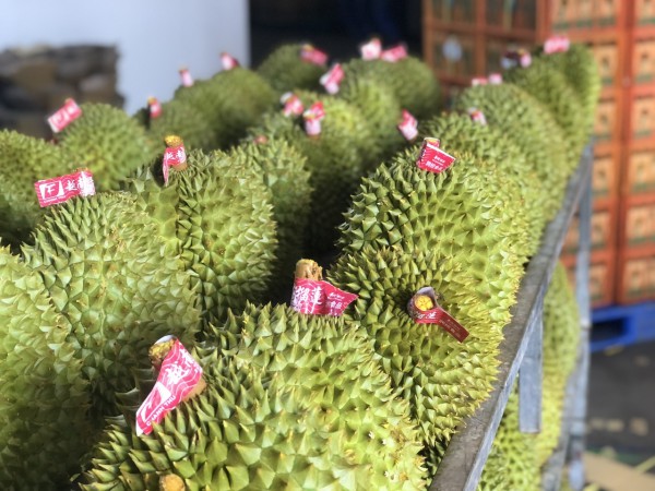 Xuất khẩu rau quả tăng vọt, đạt kỷ lục 1,3 tỉ USD chỉ trong 20 ngày