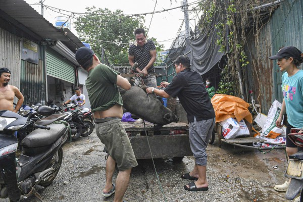 Dân Hà Nội hối hả chạy lũ sông Hồng