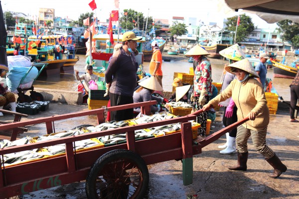 Lâm Đồng siết chặt quản lý đội tàu, quyết liệt ngăn chặn vi phạm IUU