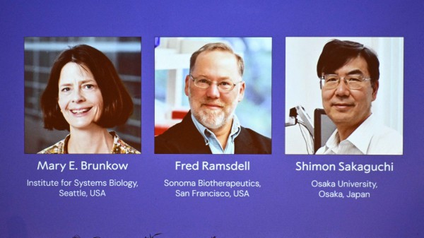 Nobel Y sinh vinh danh phát hiện dung nạp miễn dịch ngoại biên
