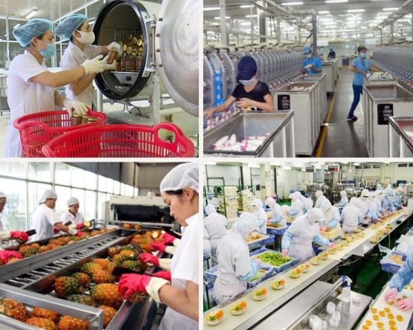 Củng cố yếu tố nền tảng cho tăng trưởng sản xuất công nghiệp