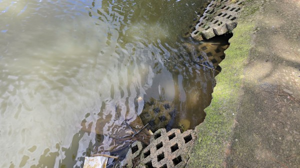 Sạt trượt ta luy, bờ kè quanh thắng cảnh hồ Xuân Hương - Đà Lạt