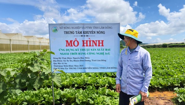 Lâm Đồng giải thể 14 trạm kỹ thuật nông nghiệp, cán bộ viên chức chuyển về đâu? Lâm Đồng giải thể 14 trạm kỹ thuật nông nghiệp, cán bộ viên chức chuyển về đâu?