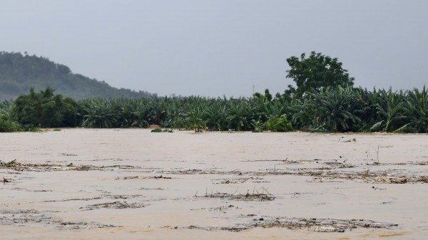 Giải cứu 8 người dân mắc kẹt giữa dòng lũ dữ trên sông Trà Khúc Giải cứu 8 người dân mắc kẹt giữa dòng lũ dữ trên sông Trà Khúc