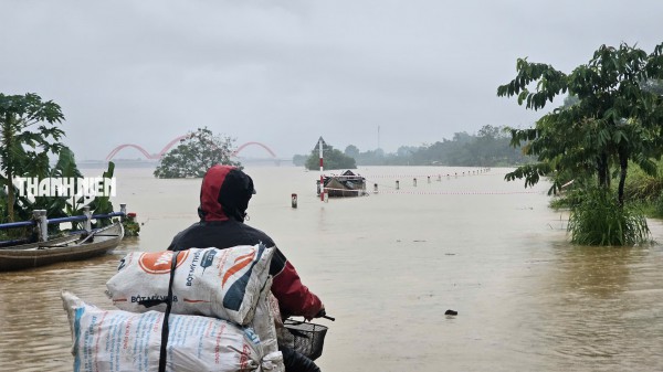 Nước lũ bao vây nhiều khu dân cư ở Quảng Ngãi
