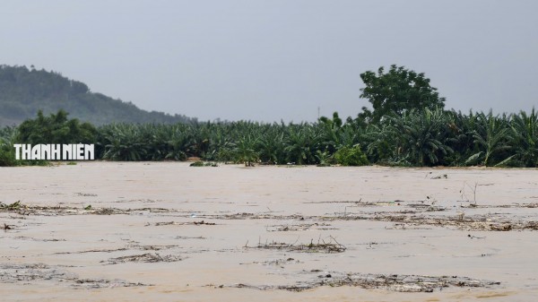 Nước lũ bao vây nhiều khu dân cư ở Quảng Ngãi