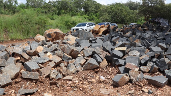 Yêu cầu xử lý vụ 'khai thác đá để trồng điều' do Báo Thanh Niên phản ánh Yêu cầu xử lý vụ 'khai thác đá để trồng điều' do Báo Thanh Niên phản ánh