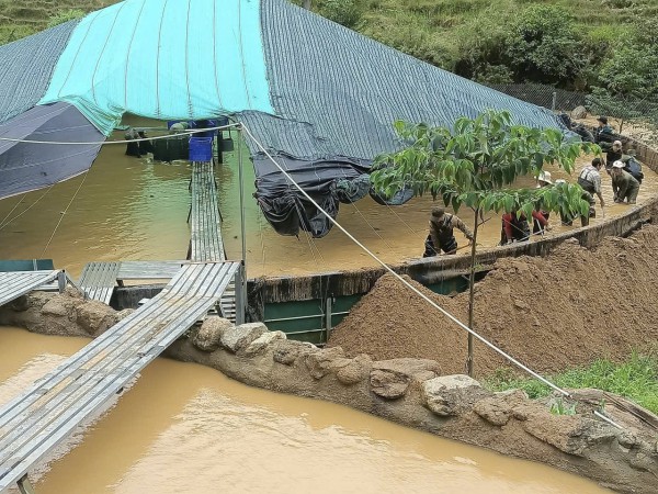 Sạt lở quả đồi, đất tràn xuống trại nuôi cá tầm, thiệt hại gần 8 tỉ đồng Sạt lở quả đồi, đất tràn xuống trại nuôi cá tầm, thiệt hại gần 8 tỉ đồng