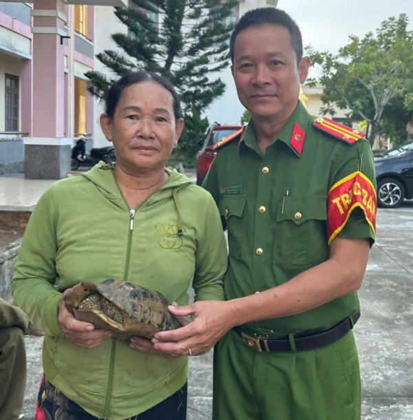 Đi hái rau, người phụ nữ bắt gặp rùa núi vàng quý hiếm