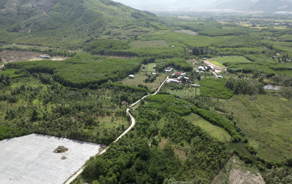 Gia Lai chuyển đổi hơn 80 ha đất rừng để triển khai 7 dự án