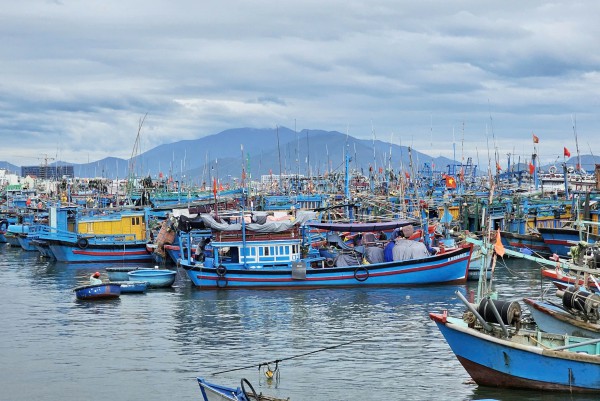 Khánh Hòa: 100% tàu cá trên 6 m đã cập nhật dữ liệu quốc gia