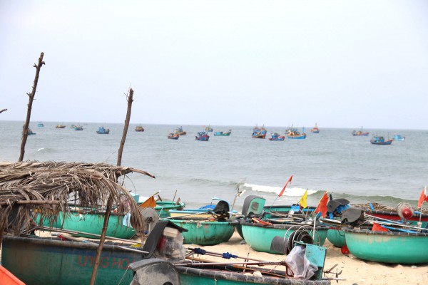 Lâm Đồng siết chặt quản lý đội tàu, quyết liệt ngăn chặn vi phạm IUU