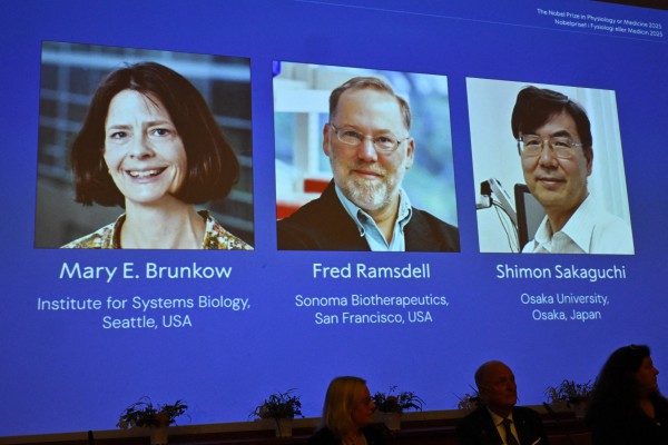 Nobel Y sinh 2025 gọi tên khám phá về khả năng dung nạp miễn dịch ngoại biên
