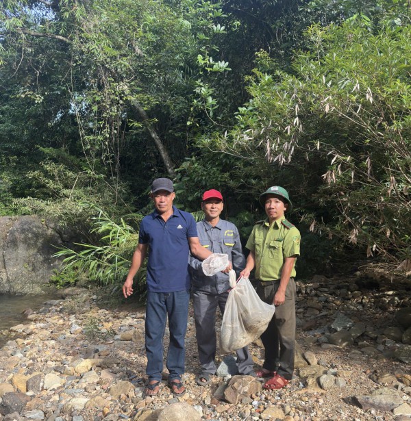 Trăn gấm vào vườn nhà người dân ở Huế, tấn công gà, vịt