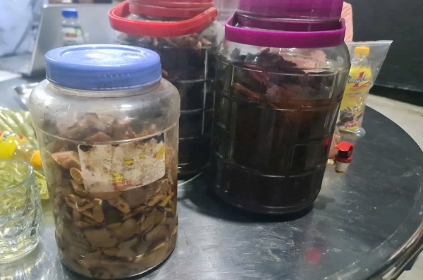 Uống rượu ngâm rễ cây, 6 người bị ngộ độc nặng Uống rượu ngâm rễ cây, 6 người bị ngộ độc nặng