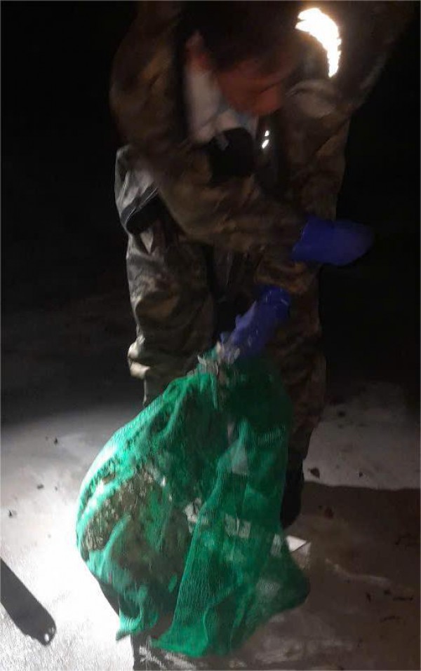 Xử lý tổ ong vò vẽ gần trường học ở xã Bình Lợi