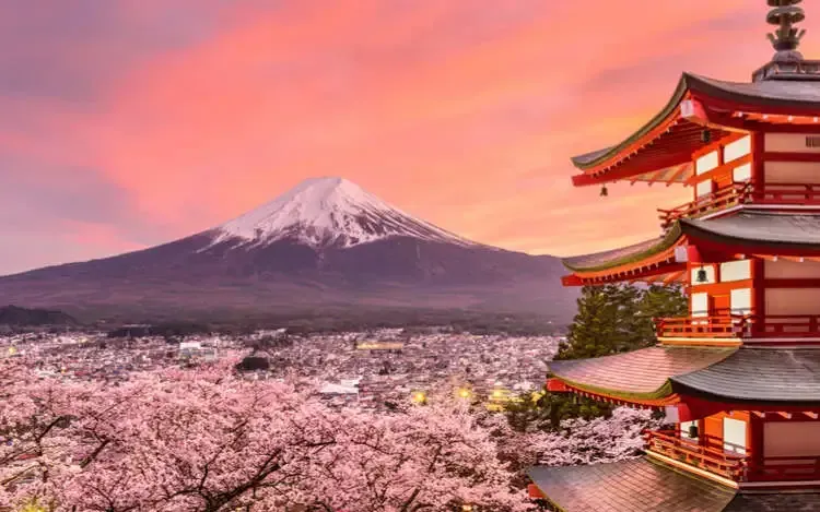 (Ảnh: Live Japan)