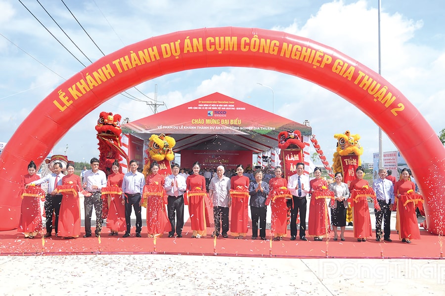 dong-Thap-day-manh-phat-trien-ha-tang-khu-cong-nghiep-a.jpg