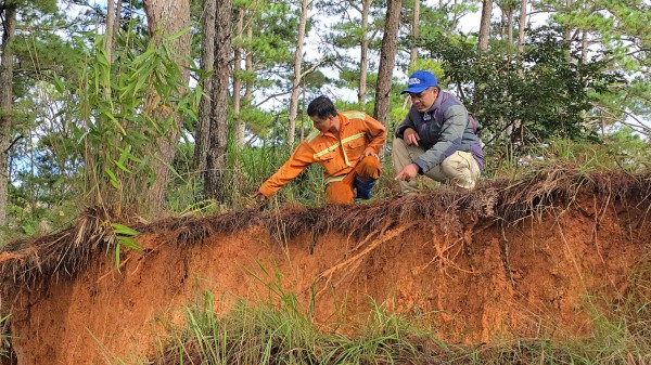 Lâm Đồng thuê tư vấn khảo sát, đánh giá sạt lở đèo D’Ran trên QL20