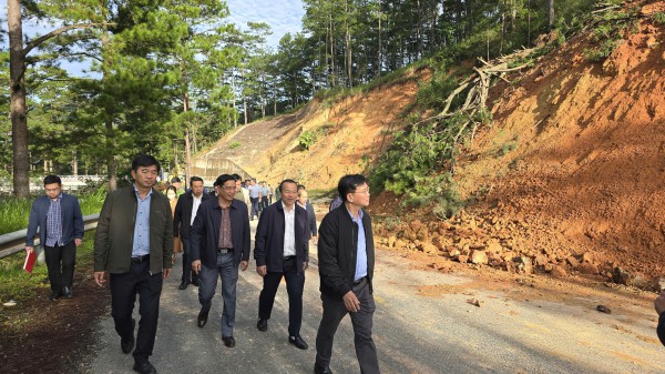 Lâm Đồng thuê tư vấn khảo sát, đánh giá sạt lở đèo D’Ran trên QL20
