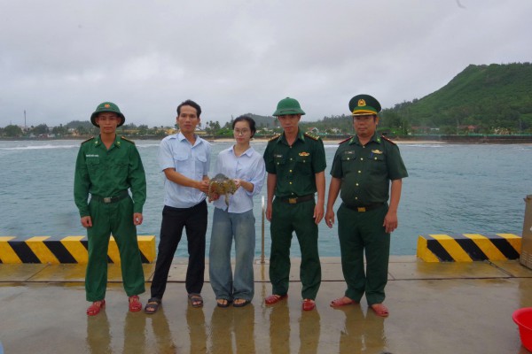 Quảng Ngãi: Thiếu nữ 16 tuổi phát hiện đồi mồi quý hiếm, nhờ biên phòng cứu hộ Quảng Ngãi: Thiếu nữ 16 tuổi phát hiện đồi mồi quý hiếm, nhờ biên phòng cứu hộ