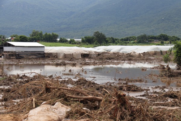 Vỡ hồ chứa nước ở Tuy Phong: Dự án nằm trên đất rừng hay đất nông nghiệp?