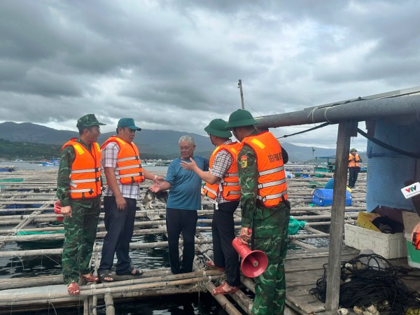 Thủ phủ tôm hùm vịnh Xuân Đài 'chạy đua' với bão số 13 Kalmaegi Thủ phủ tôm hùm vịnh Xuân Đài 'chạy đua' với bão số 13 Kalmaegi