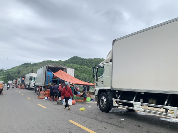 Thủ phủ tôm hùm vịnh Xuân Đài 'chạy đua' với bão số 13 Kalmaegi Thủ phủ tôm hùm vịnh Xuân Đài 'chạy đua' với bão số 13 Kalmaegi