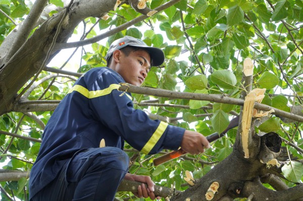 Trước giờ bão số 13 Kalmaegi đổ bộ, người dân ven biển chạy đua với thời gian Trước giờ bão số 13 Kalmaegi đổ bộ, người dân ven biển chạy đua với thời gian