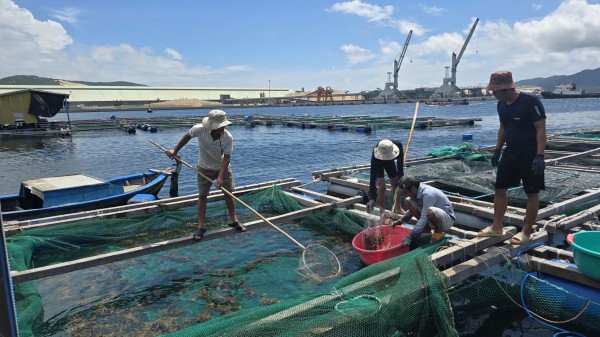 Ngư dân Khánh Hòa chạy đua phòng chống bão số 13 Kalmaegi Ngư dân Khánh Hòa chạy đua phòng chống bão số 13 Kalmaegi
