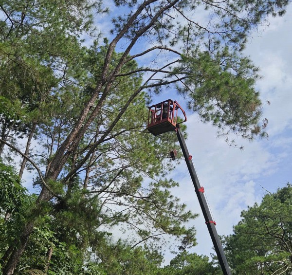 Lãnh đạo tỉnh Khánh Hòa đồng loạt kiểm tra công tác ứng phó bão số 13 Kalmaegi Lãnh đạo tỉnh Khánh Hòa đồng loạt kiểm tra công tác ứng phó bão số 13 Kalmaegi