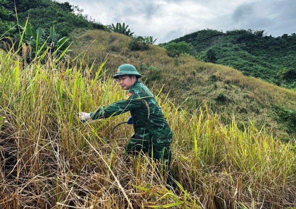 Đà Nẵng khẩn trương sơ tán dân, ứng phó bão Kalmaegi trước ngày 6.11 Đà Nẵng khẩn trương sơ tán dân, ứng phó bão Kalmaegi trước ngày 6.11