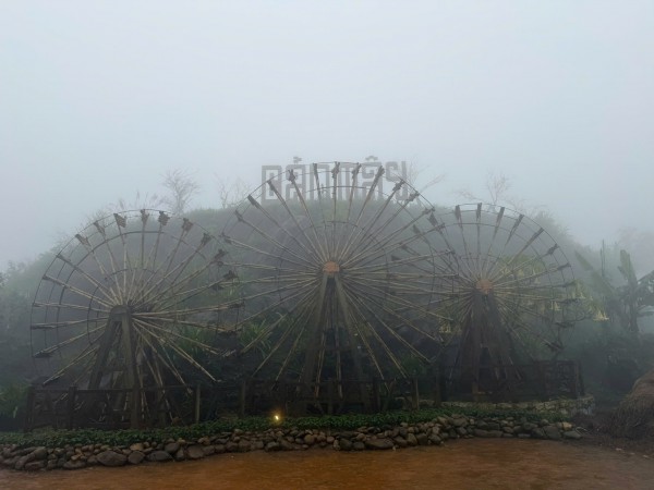 Mây săn người trên đỉnh Fansipan Mây săn người trên đỉnh Fansipan