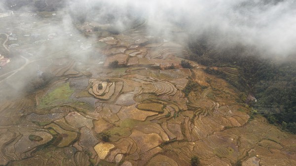 Mây săn người trên đỉnh Fansipan Mây săn người trên đỉnh Fansipan