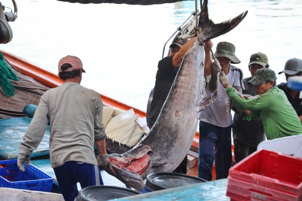 Nam Trung bộ căng mình ứng phó bão Kalmaegi Nam Trung bộ căng mình ứng phó bão Kalmaegi