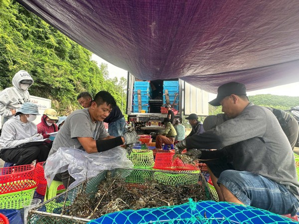 Nam Trung bộ căng mình ứng phó bão Kalmaegi Nam Trung bộ căng mình ứng phó bão Kalmaegi