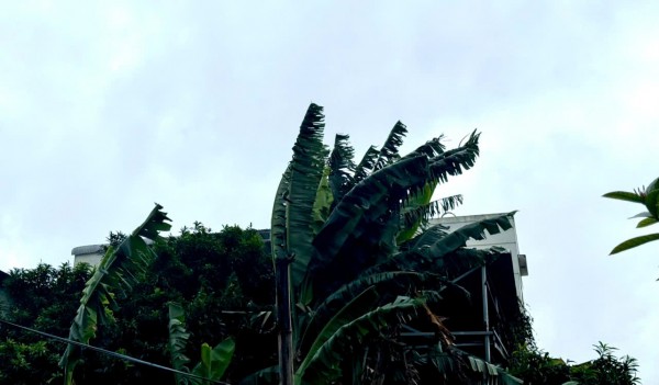 Quảng Ngãi di dời 3.600 người dân ven biển Sa Huỳnh tránh bão Kalmaegi Quảng Ngãi di dời 3.600 người dân ven biển Sa Huỳnh tránh bão Kalmaegi