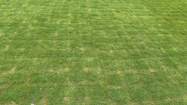 Sân Mỹ Đình không còn lo bị ‘tàn phá’ sau concert ca nhạc, cỏ sẽ không bị chết Sân Mỹ Đình không còn lo bị ‘tàn phá’ sau concert ca nhạc, cỏ sẽ không bị chết