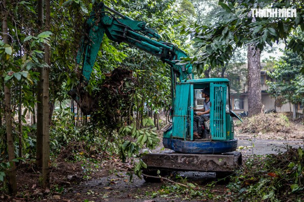 TP.HCM tất bật dọn 'đất vàng' để xây công viên và đài tưởng niệm nạn nhân Covid-19 TP.HCM tất bật dọn 'đất vàng' để xây công viên và đài tưởng niệm nạn nhân Covid-19