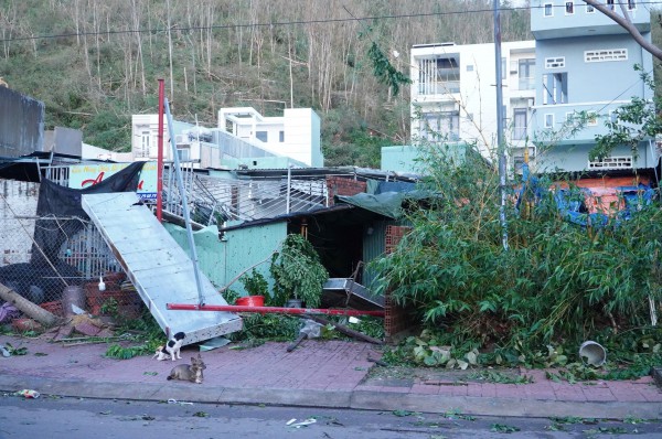Phố biển Quy Nhơn tan hoang, đổ nát sau bão số 13 Kalmaegi Phố biển Quy Nhơn tan hoang, đổ nát sau bão số 13 Kalmaegi